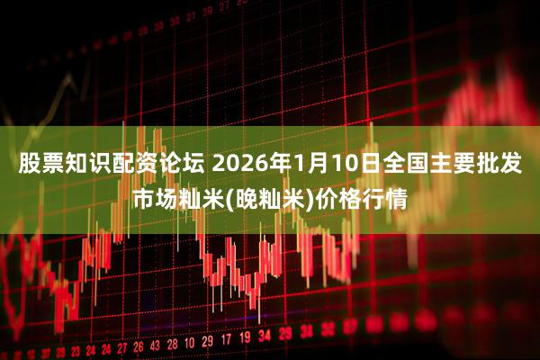 股票知识配资论坛 2026年1月10日全国主要批发市场籼米(晚籼米)价格行情
