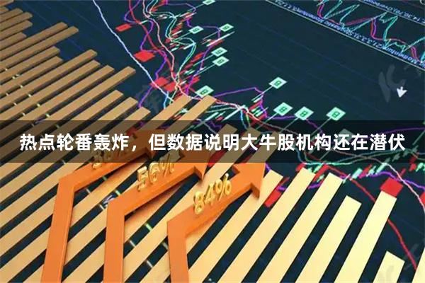 热点轮番轰炸，但数据说明大牛股机构还在潜伏
